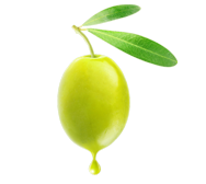 olive biologiche