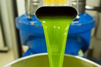 olio di oliva biologico frantoio